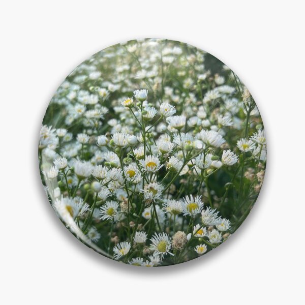 Item preview, Wild Daisy Patch | EDINSTEPPE Collection  designed and sold by E D I N S T E P P E.