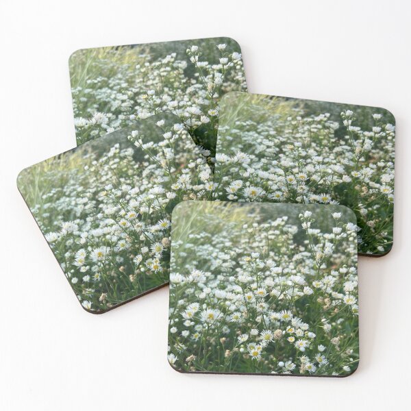 Item preview, Wild Daisy Patch | EDINSTEPPE Collection  designed and sold by E D I N S T E P P E.
