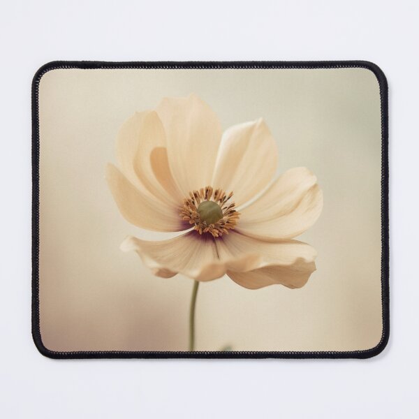 Item preview, Soft Ivory Bloom designed and sold by LunaVales.
