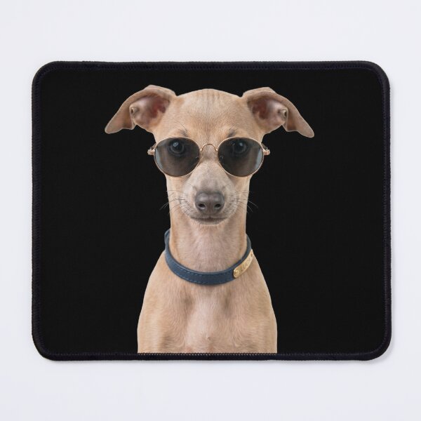 Item preview, Cute Baby Italian Greyhound Dog Wearing Sunglasses Funny designed and sold by RareLavender.