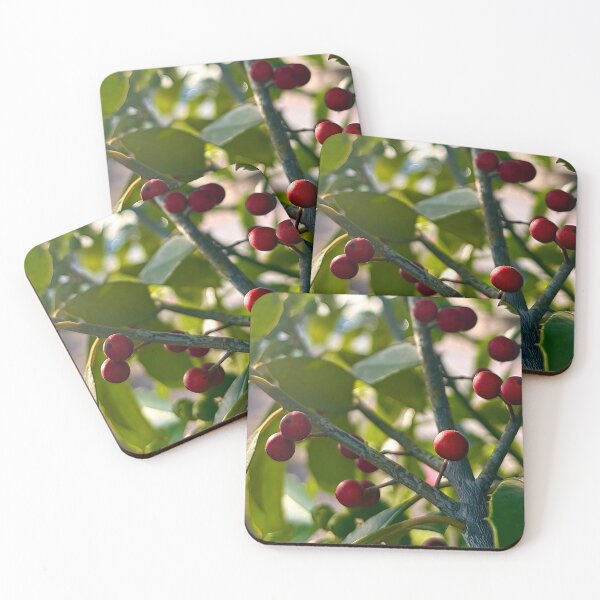 Item preview, Red Holly Berries designed and sold by Baulmonart.