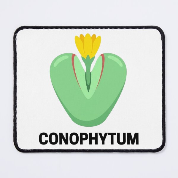 Item preview, Minimalist Conophytum Succulent Streetwear Graphic designed and sold by GreenDivisionJP.