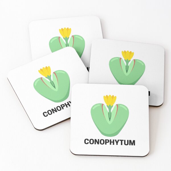 Item preview, Minimalist Conophytum Succulent Streetwear Graphic designed and sold by GreenDivisionJP.