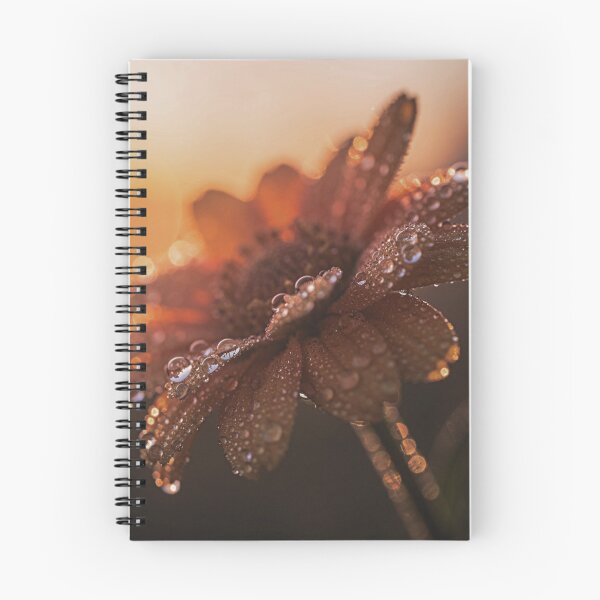 Item preview, Golden Hour Blossom | Painterly Cherry Branch Floral Prin designed and sold by WitchyBotanicaArt.