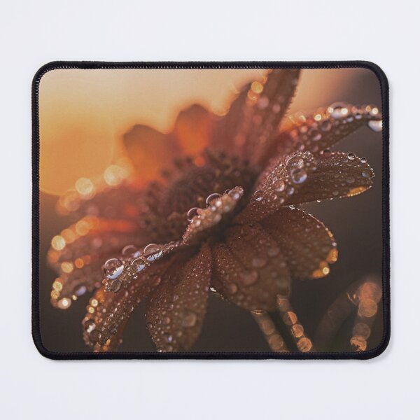Item preview, Golden Hour Blossom | Painterly Cherry Branch Floral Prin designed and sold by WitchyBotanicaArt.