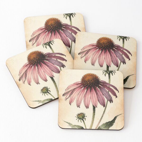 Item preview, Vintage Purple Coneflower Botanical Illustration - Echinacea Flower Art designed and sold by Darlin8888.