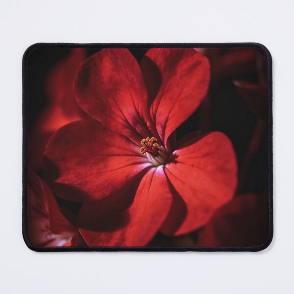 Item preview, Dark Floral Wall Art | Moody Botanical Flower Print designed and sold by WitchyBotanicaArt.