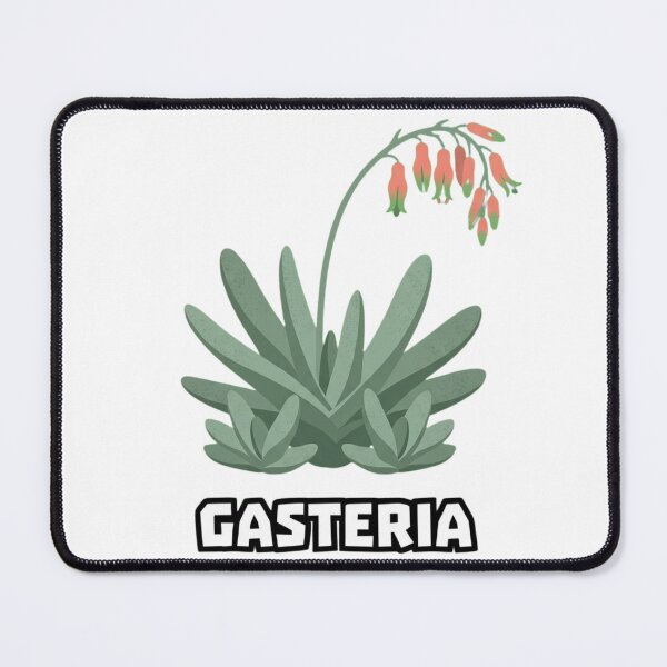 Item preview, Minimalist Gasteria Glomerata Urban Botanical Graphic designed and sold by GreenDivisionJP.