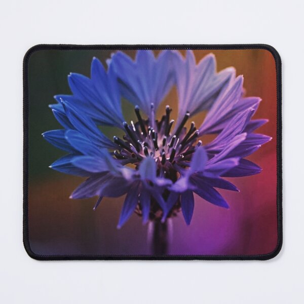 Item preview, Violet Bloom | Purple Flower Botanical Wall Art designed and sold by WitchyBotanicaArt.
