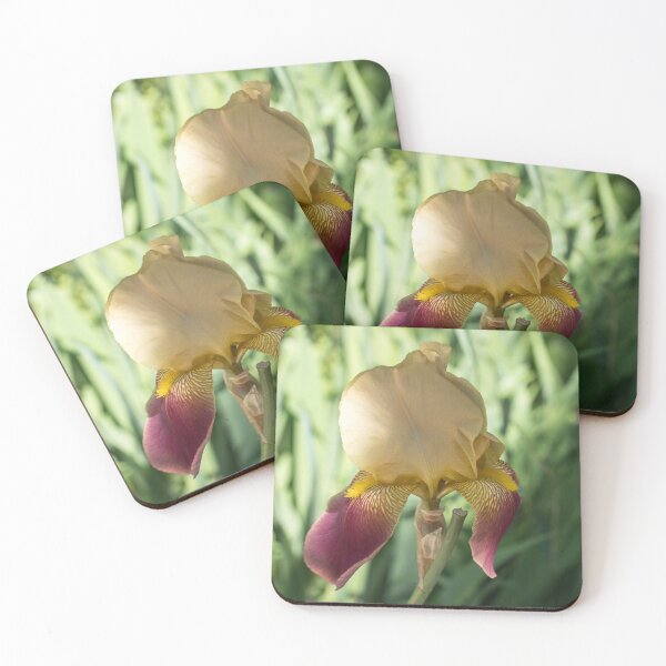 Item preview, Cream and Violet Iris with Tiger Striped Petals designed and sold by Georgia Mizuleva.