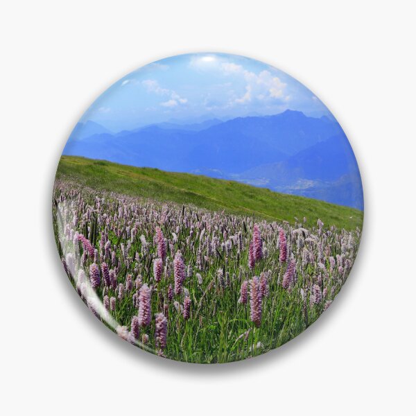 Aperçu de l'œuvre Floraison sur le Monte Baldo créée et vendue par annalisa56.