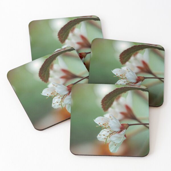 Item preview, First Petal White Spring Blossom | Minimal Botanical Photography designed and sold by WitchyBotanicaArt.