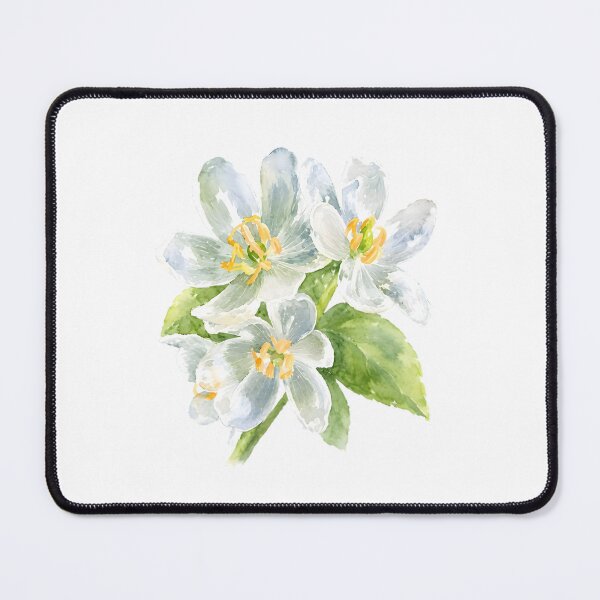 Item preview, Sankayo (Diphylleia grayi) – Skeleton Flower designed and sold by HOMETOWN86.