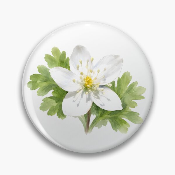 Item preview, Nirinso (Anemone flaccida) – Windflower designed and sold by HOMETOWN86.
