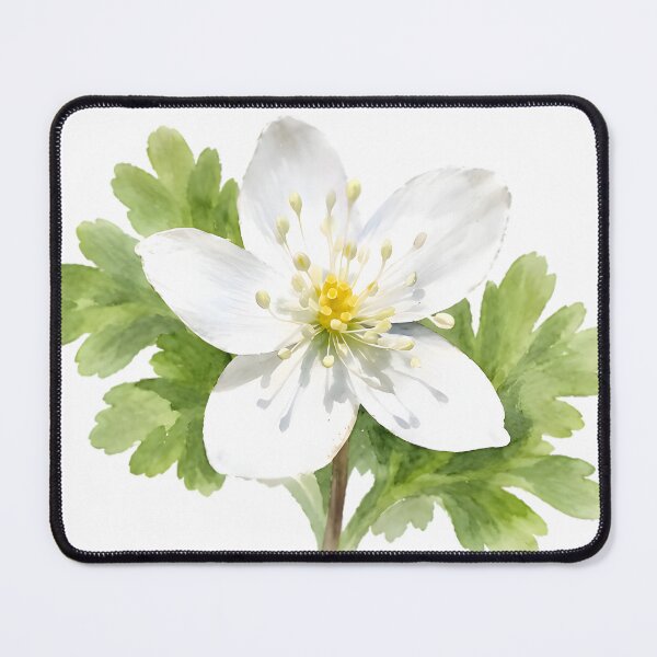 Item preview, Nirinso (Anemone flaccida) – Windflower designed and sold by HOMETOWN86.