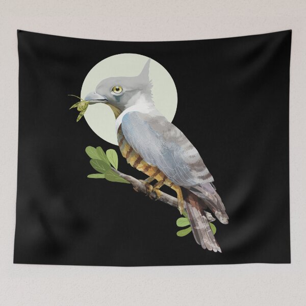 Item preview, Pacific Baza Crested Hawk Australian Bird of Prey designed and sold by Karin Taylor.