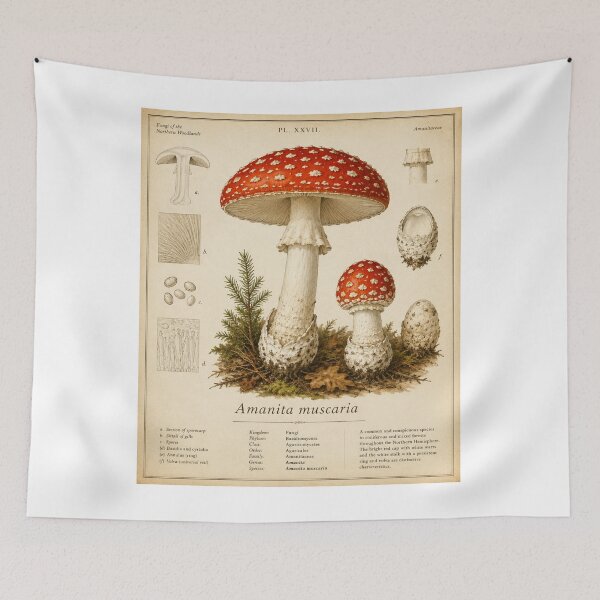 Item preview, Amanita Muscaria Field Study designed and sold by Mr-AShop.