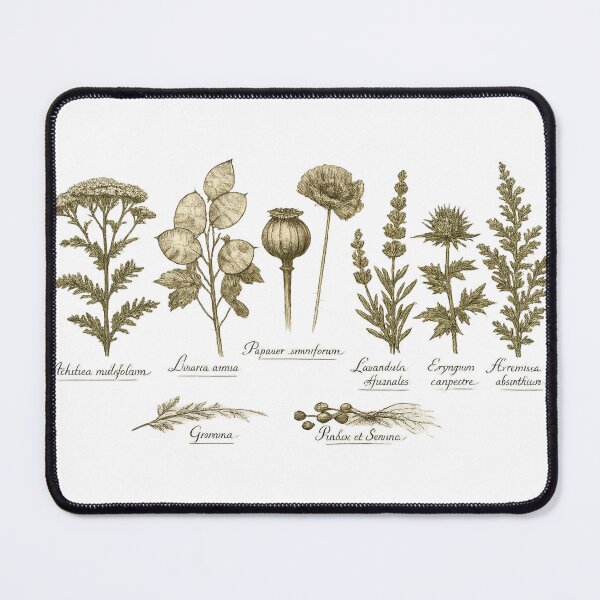 Item preview, Vintage Botanical Herb Chart Dark Academia Plant Illustration Design designed and sold by irfanshikh.