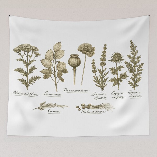 Item preview, Vintage Botanical Herb Chart Dark Academia Plant Illustration Design designed and sold by irfanshikh.