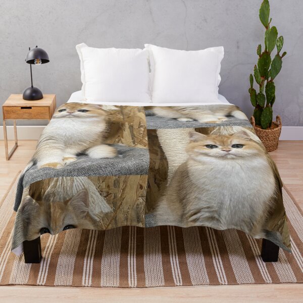 Item preview, Golden British Shorthair Cat Portrait designed and sold by oxananemyrovska.