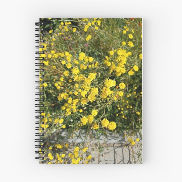Artikelvorschau, Golden Wildflowers Nature Photography entworfen und verkauft von PhuongVoArt.