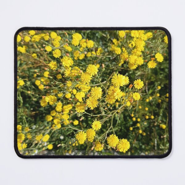 Item preview, Golden Wildflowers Nature Photography designed and sold by PhuongVoArt.
