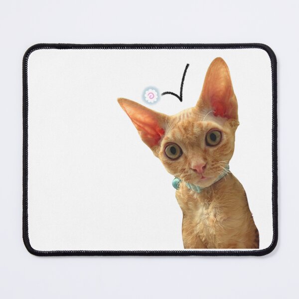 Item preview, Confused ginger Kitten and narutomaki designed and sold by PickleFishPasta.
