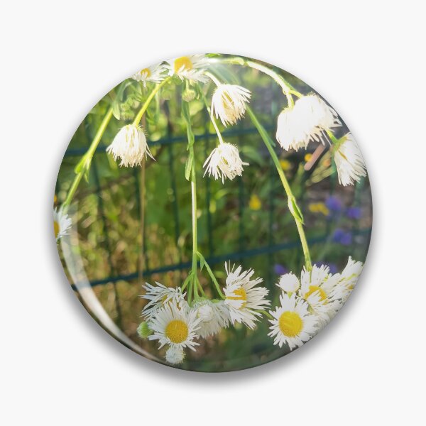 Item preview, Delicate White Daisy Wildflowers in Summer Sunlight designed and sold by PhuongVoArt.