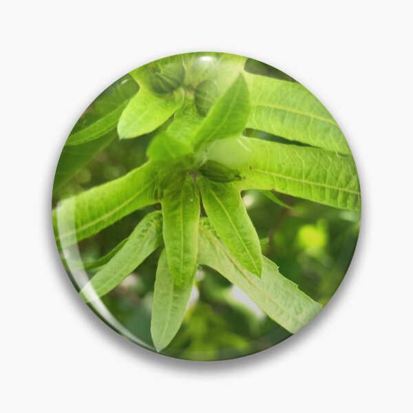 Item preview, Green Flower Buds with Star Shaped Sepals Macro Nature Close Up designed and sold by PhuongVoArt.