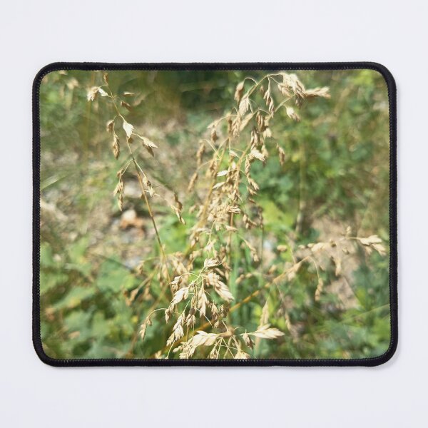 Item preview, Golden Wild Grass Seed Heads in Natural Forest Light designed and sold by PhuongVoArt.