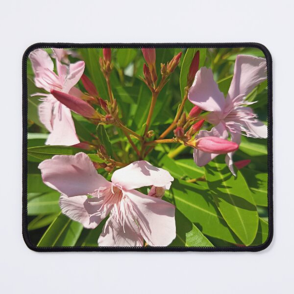 Item preview, Pink Oleander Flowers and Buds in Summer Garden designed and sold by PhuongVoArt.