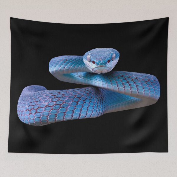 Item preview,  Blue Viper Snake designed and sold by Reinrab.