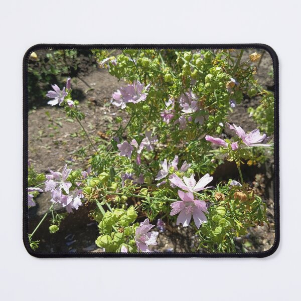 Item preview, Delicate Pink Mallow Flowers in a Sunny Garden designed and sold by PhuongVoArt.
