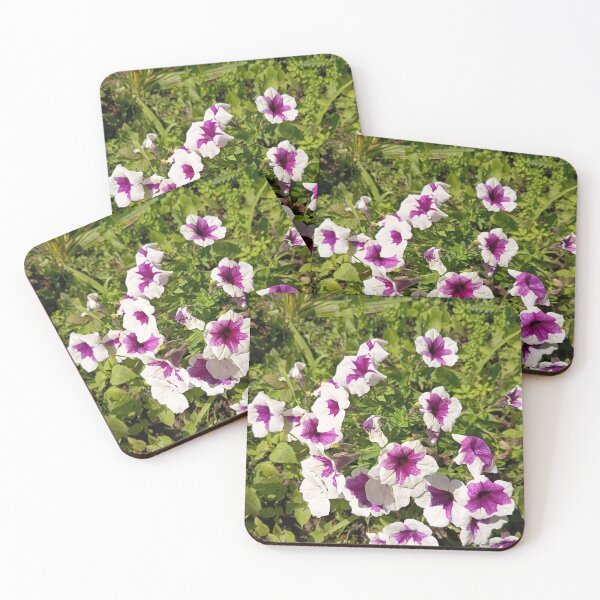 Item preview, White and Purple Petunia Flowers Blooming in Summer Garden designed and sold by PhuongVoArt.