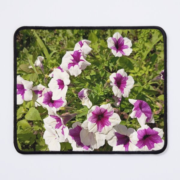 Item preview, White and Purple Petunia Flowers Blooming in Summer Garden designed and sold by PhuongVoArt.