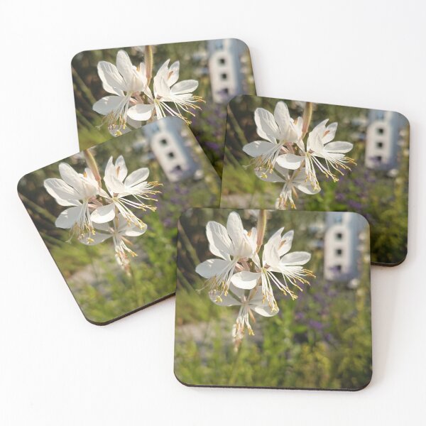 Item preview, White Gaura Flowers Close Up in Golden Evening Light designed and sold by PhuongVoArt.