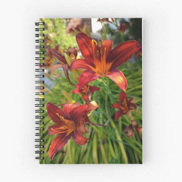 Item preview, Deep Red Daylily Blossoms in Summer Garden Close Up designed and sold by PhuongVoArt.