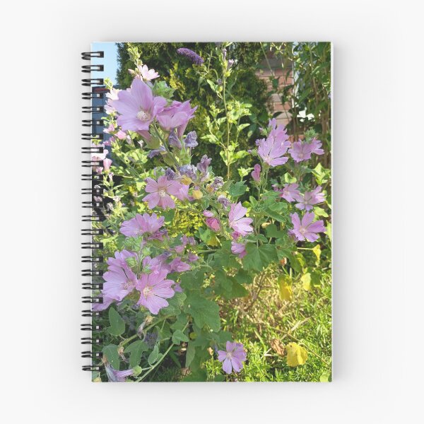 Item preview, Pink Common Mallow Flowers Blooming in a Sunny Garden designed and sold by PhuongVoArt.