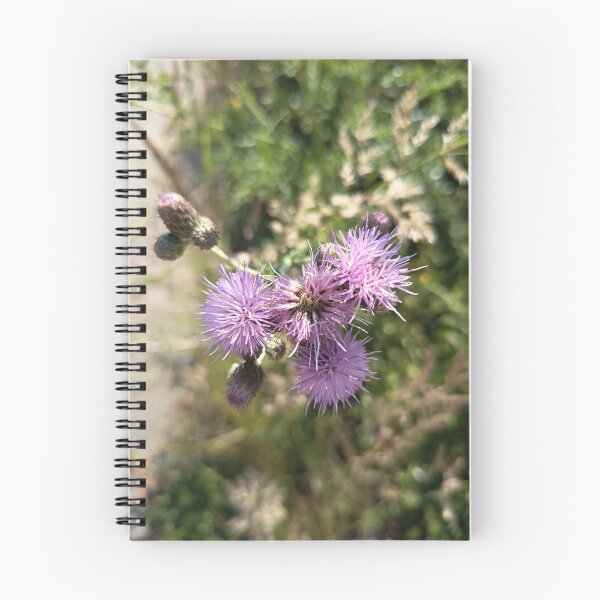 Item preview, Purple Thistle Wildflowers Blooming in Summer Meadow Close Up designed and sold by PhuongVoArt.