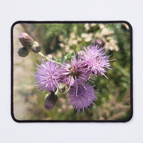 Item preview, Purple Thistle Wildflowers Blooming in Summer Meadow Close Up designed and sold by PhuongVoArt.
