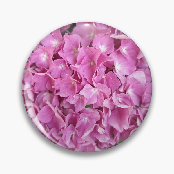 Item preview, Pink Hydrangea Blossom Close Up in Lush Summer Garden designed and sold by PhuongVoArt.