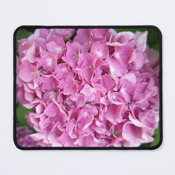 Item preview, Pink Hydrangea Blossom Close Up in Lush Summer Garden designed and sold by PhuongVoArt.