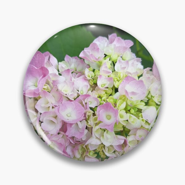 Item preview, Soft Pink Hydrangea Bloom with Fresh Green Foliage Close Up designed and sold by PhuongVoArt.