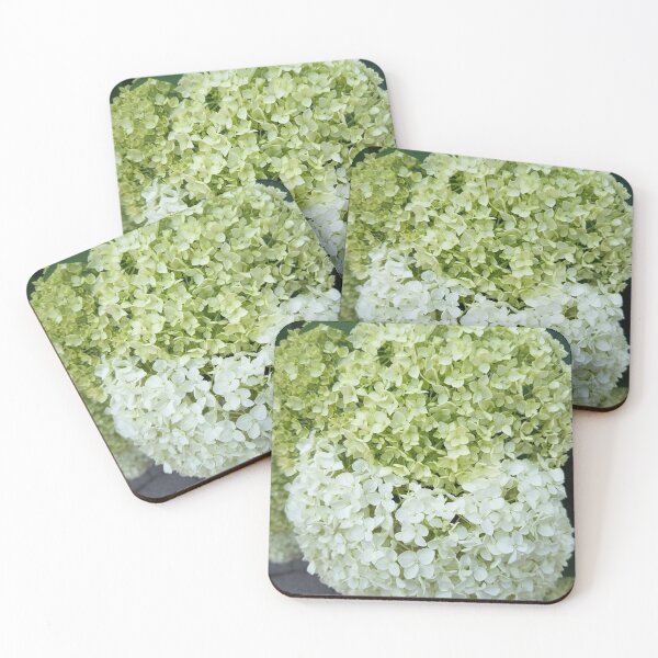 Item preview, Green to White Hydrangea Bloom Close Up designed and sold by PhuongVoArt.