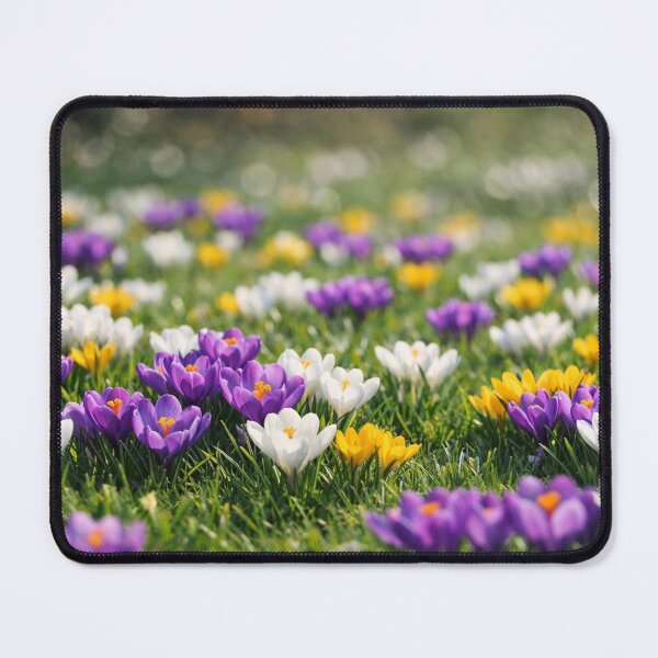 Item preview, pring Awakening | Colorful Crocus Field Wall Art designed and sold by WitchyBotanicaArt.