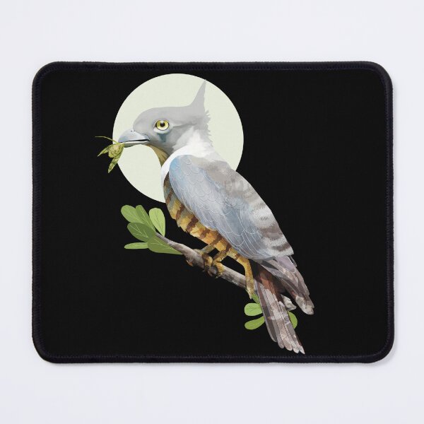 Item preview, Pacific Baza Crested Hawk Australian Bird of Prey designed and sold by Karin Taylor.