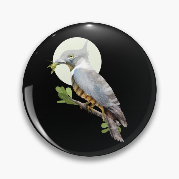 Item preview, Pacific Baza Crested Hawk Australian Bird of Prey designed and sold by Karin Taylor.