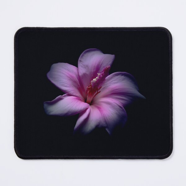 Item preview, Pink Hibiscus on Dark Background | Purple Floral Wall Art designed and sold by WitchyBotanicaArt.