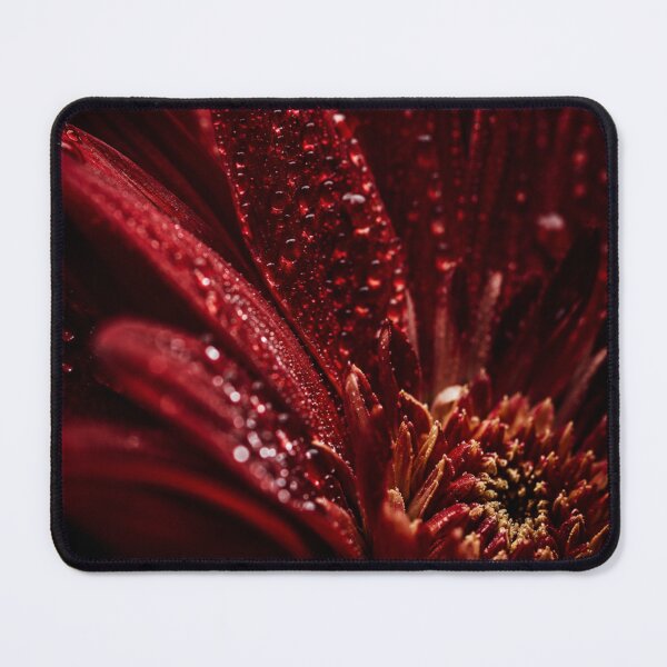 Item preview, Dark Red Gerbera with Rain Drops | Moody Floral Wall Art designed and sold by WitchyBotanicaArt.