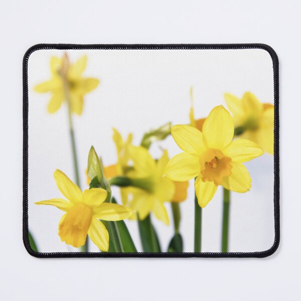 Item preview, Spring Line-Up designed and sold by Kasia Design.